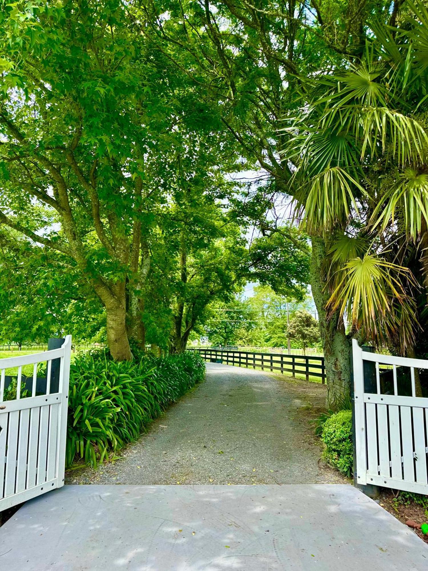 Matamata Country B&B Extérieur photo